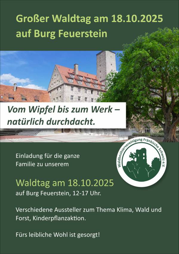 Waldtag Burg Feuerstein final